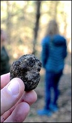 Truffle Hunting Experience with Lunch in San Miniato