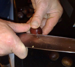 Cut chestnut shell