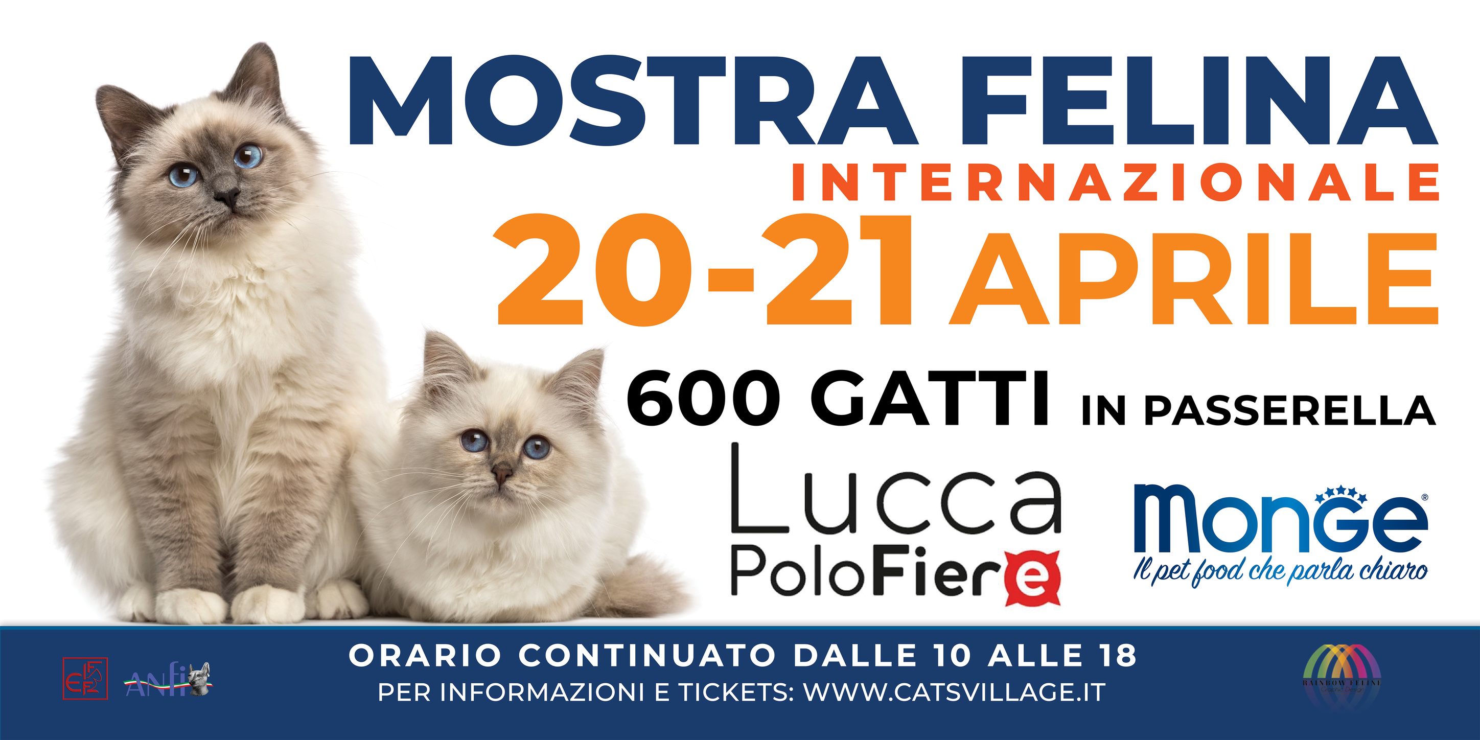 International Cat's Village Show in Lucca - April 2024