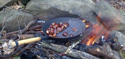 How to Roast Chestnuts on open fire