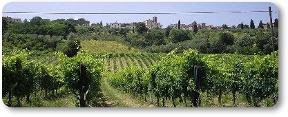 Tuscany wine tours 