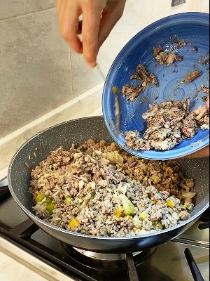 How to make homemade dog food for senior dogs