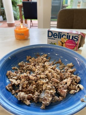 Natural healthy homemade dog food rich in omega-3 - how to make homemade dog food