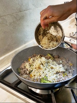 Healthy diet for older dogs - how to make fresh dog food recipe