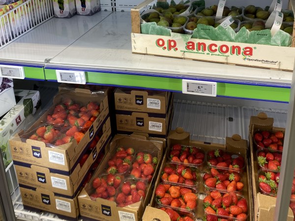 Italian Wholesale Supermarket