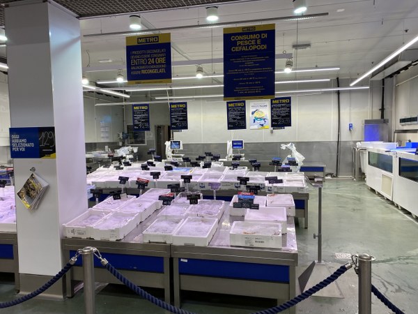 Fish & Seafood supply for restaurants and bars in Italy