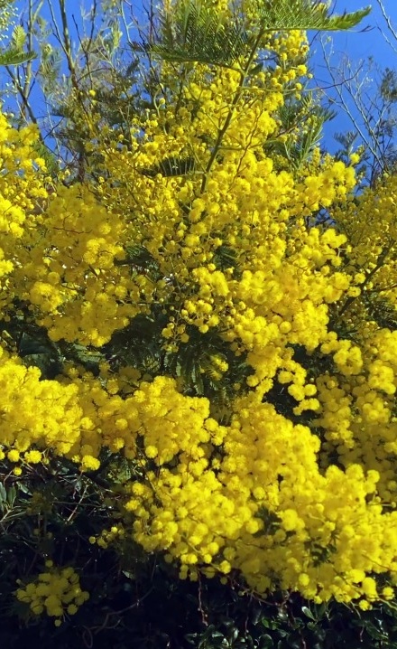 Spring in Italy - The Best Time to Visit Italy