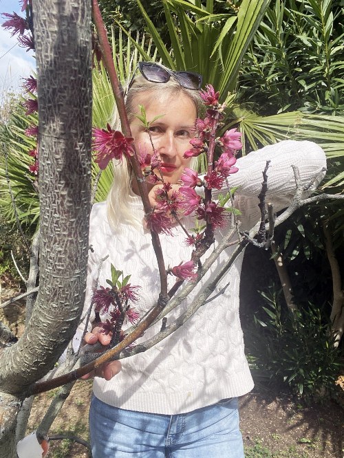 Why Spring Is the Best Time to Visit Italy - Spring in Italy