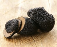 Where to Find Mushrooms & Truffles in Italy - For Visiting Italy in Autumn